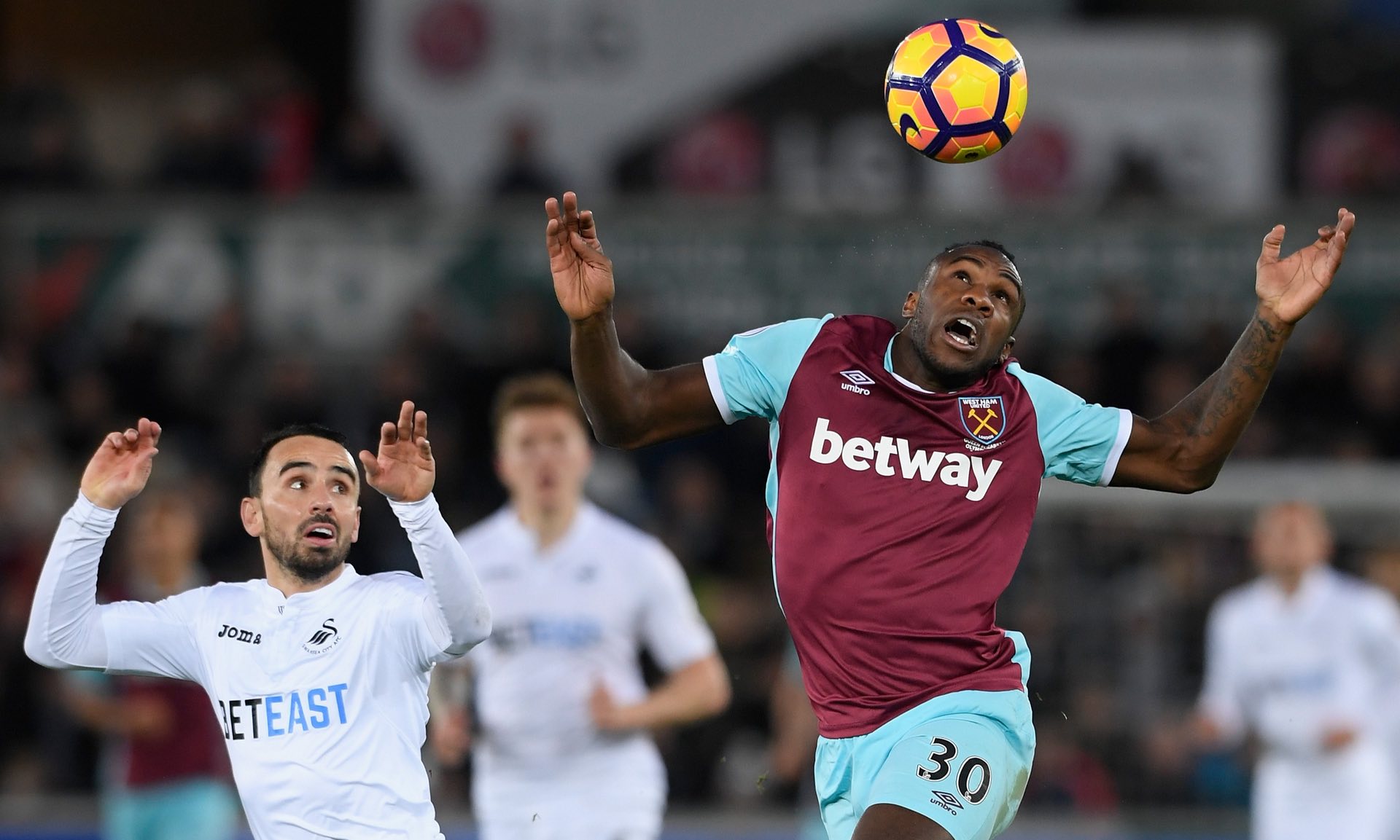 也与战术安 也与战术安