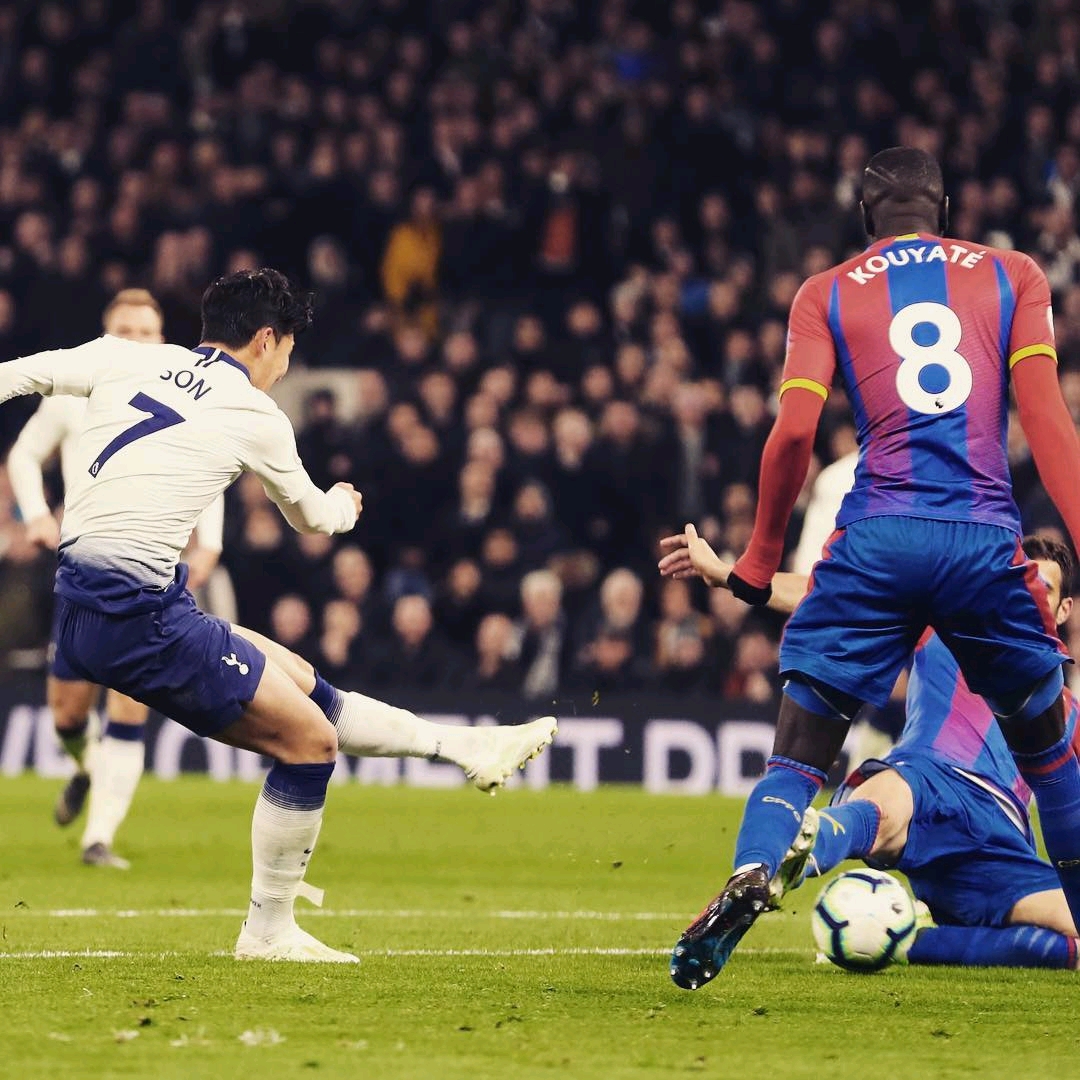 球迷和读者 球迷和读者